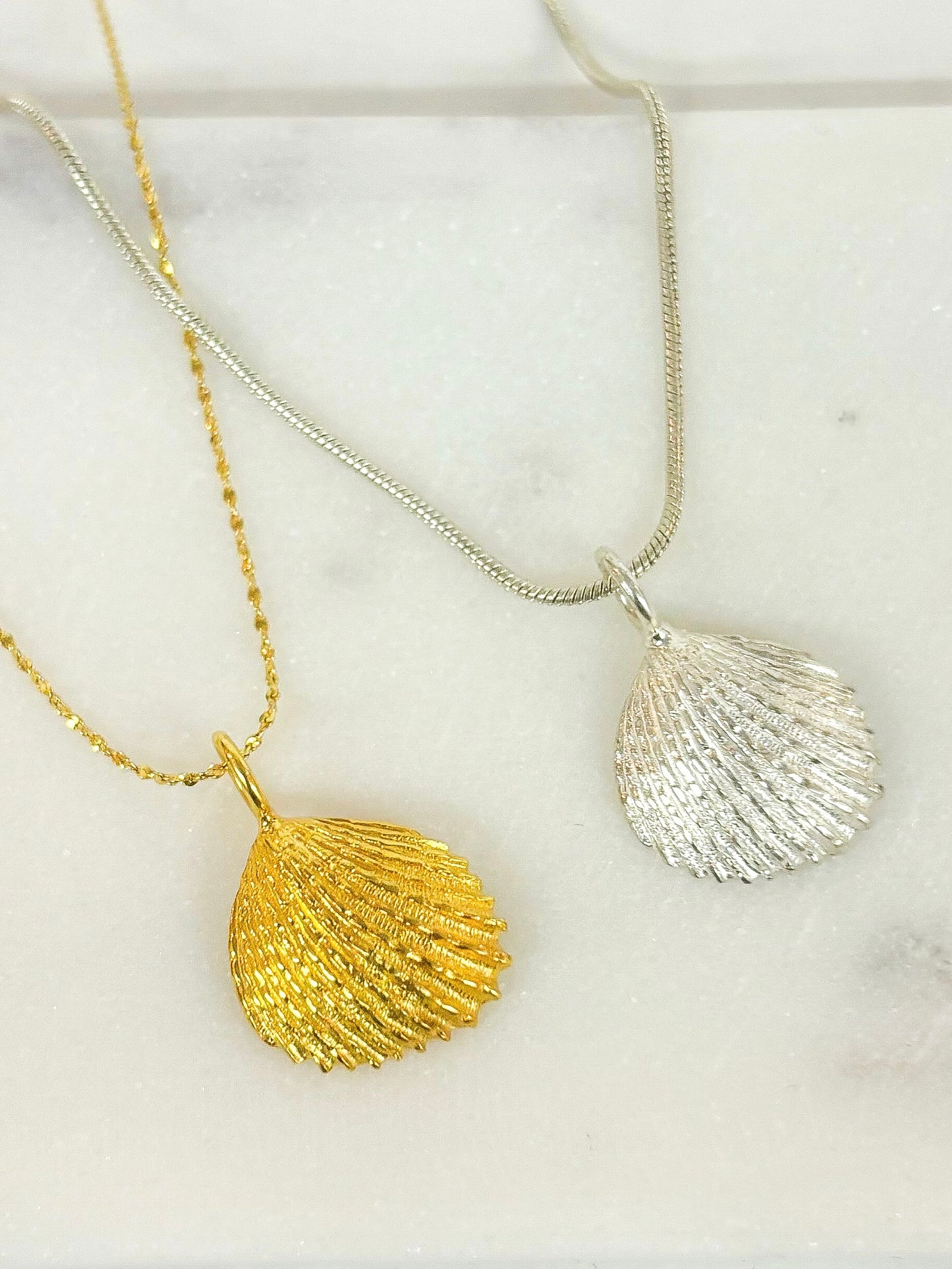 Trigonia Shell Necklace – Handmade