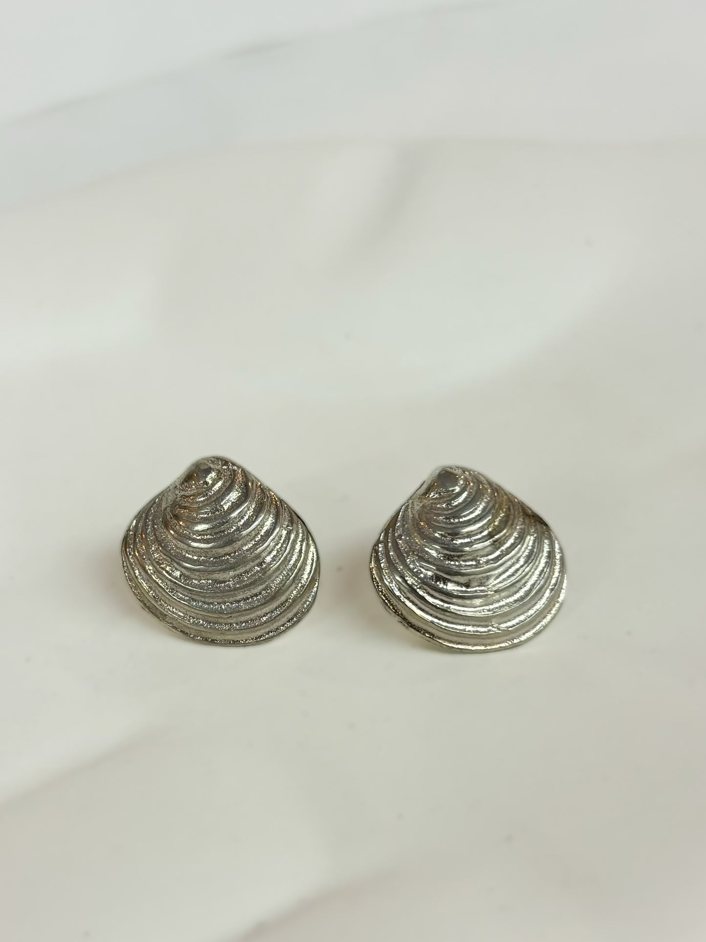 Venus Shell Earrings – Sterling Silver