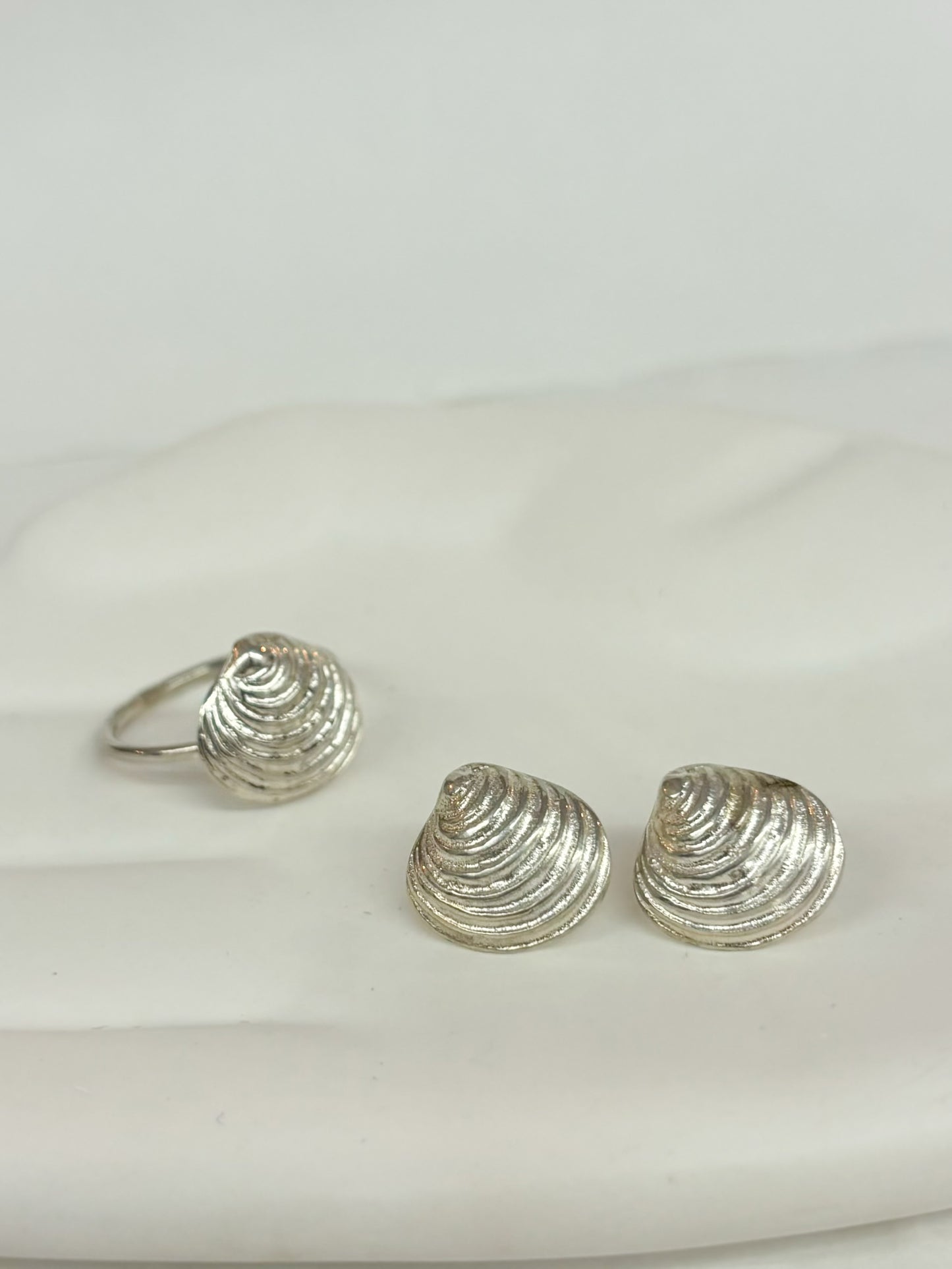 Venus Shell Earrings – Sterling Silver